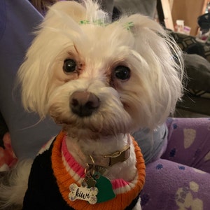 Katie ha añadido una foto de su compra
