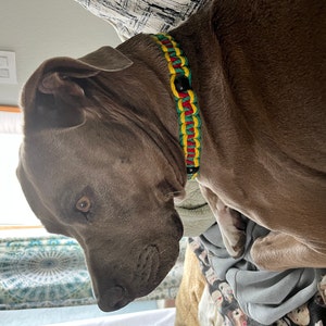 Nicole added a photo of their purchase