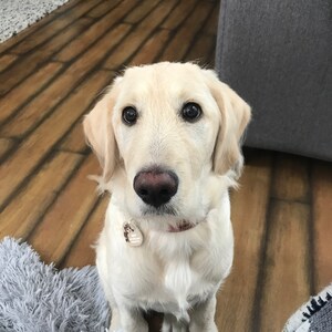 Sara added a photo of their purchase