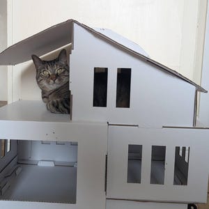 Ethel added a photo of their purchase
