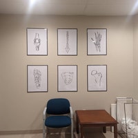 20 Human Skeleton Drawings, Medical Wall Art Set, Printable Abstract ...