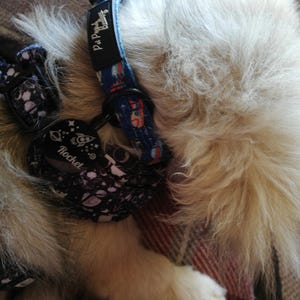 Hilary added a photo of their purchase