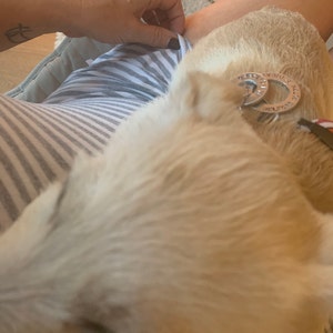 julie heeft een foto van de aankoop toegevoegd