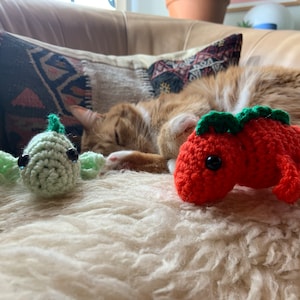 Susan added a photo of their purchase