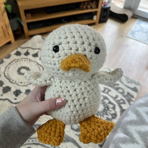Stacey added a photo of their purchase