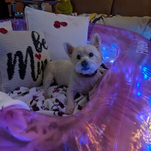 Harley ha añadido una foto de su compra