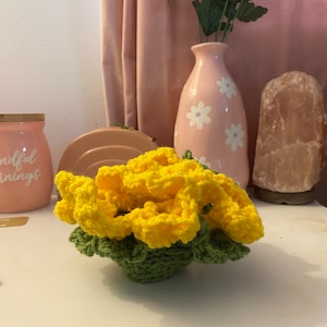 Katie a ajouté une photo de son achat