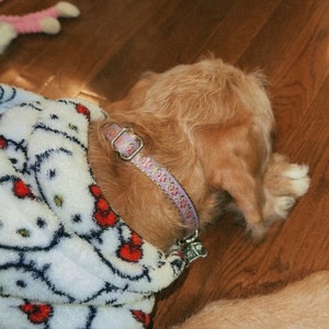 Ariana ha añadido una foto de su compra