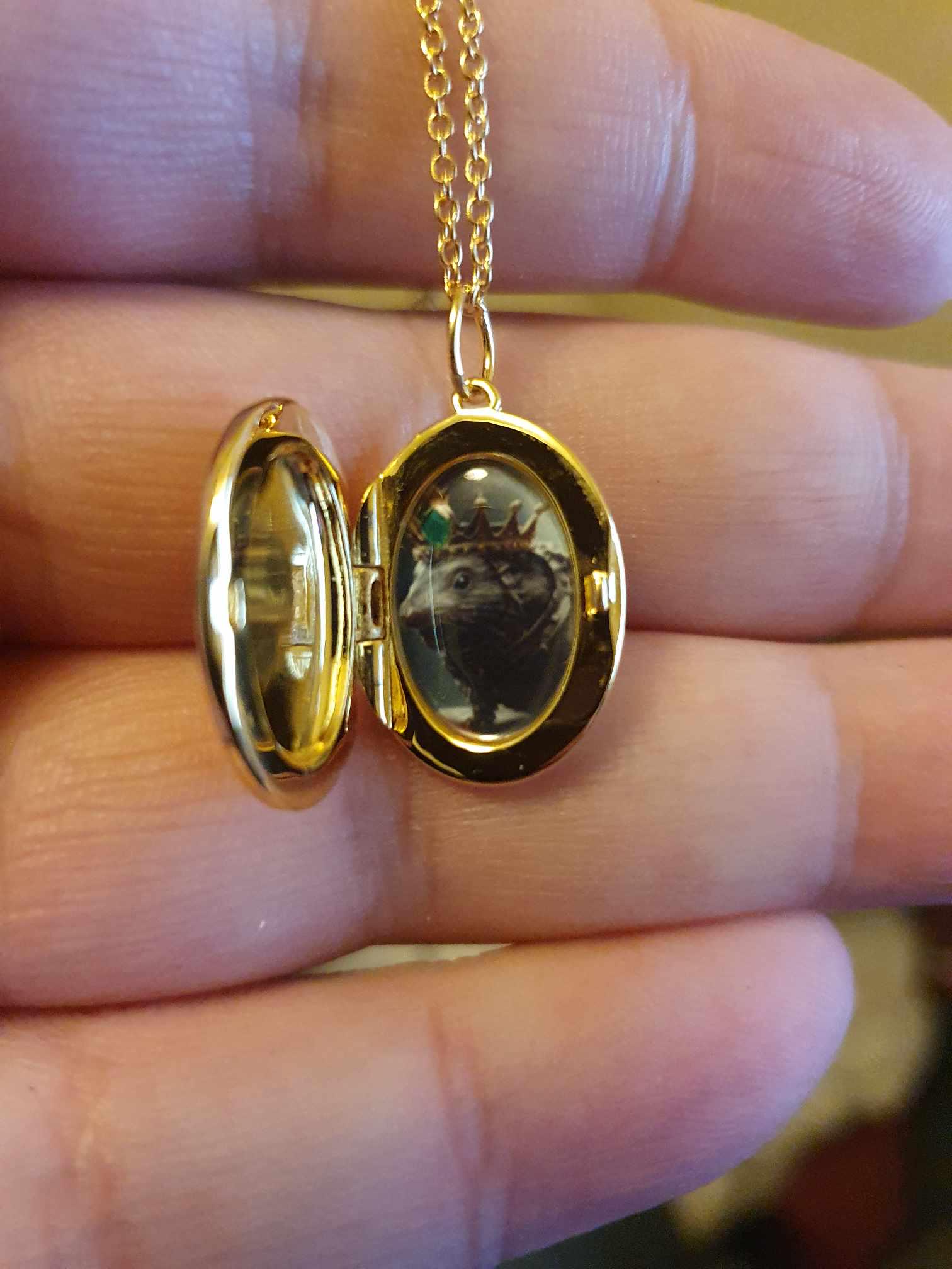 Medaillon-Halskette mit Foto, ovale Halskette mit Gravur, Foto-Halskette in Gold, Gedenkschmuck, Jubiläumsgeschenk, Geschenk für Mama, Muttertagsgeschenk