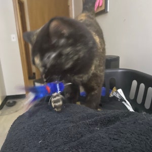 Kitsu added a photo of their purchase