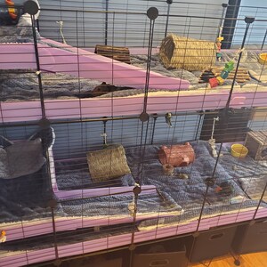 Guinea pig C&C cage 3x2 Loft Ramp Stairs Corrugated plastic | Etsy