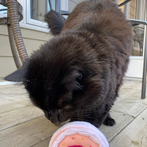 Katie added a photo of their purchase