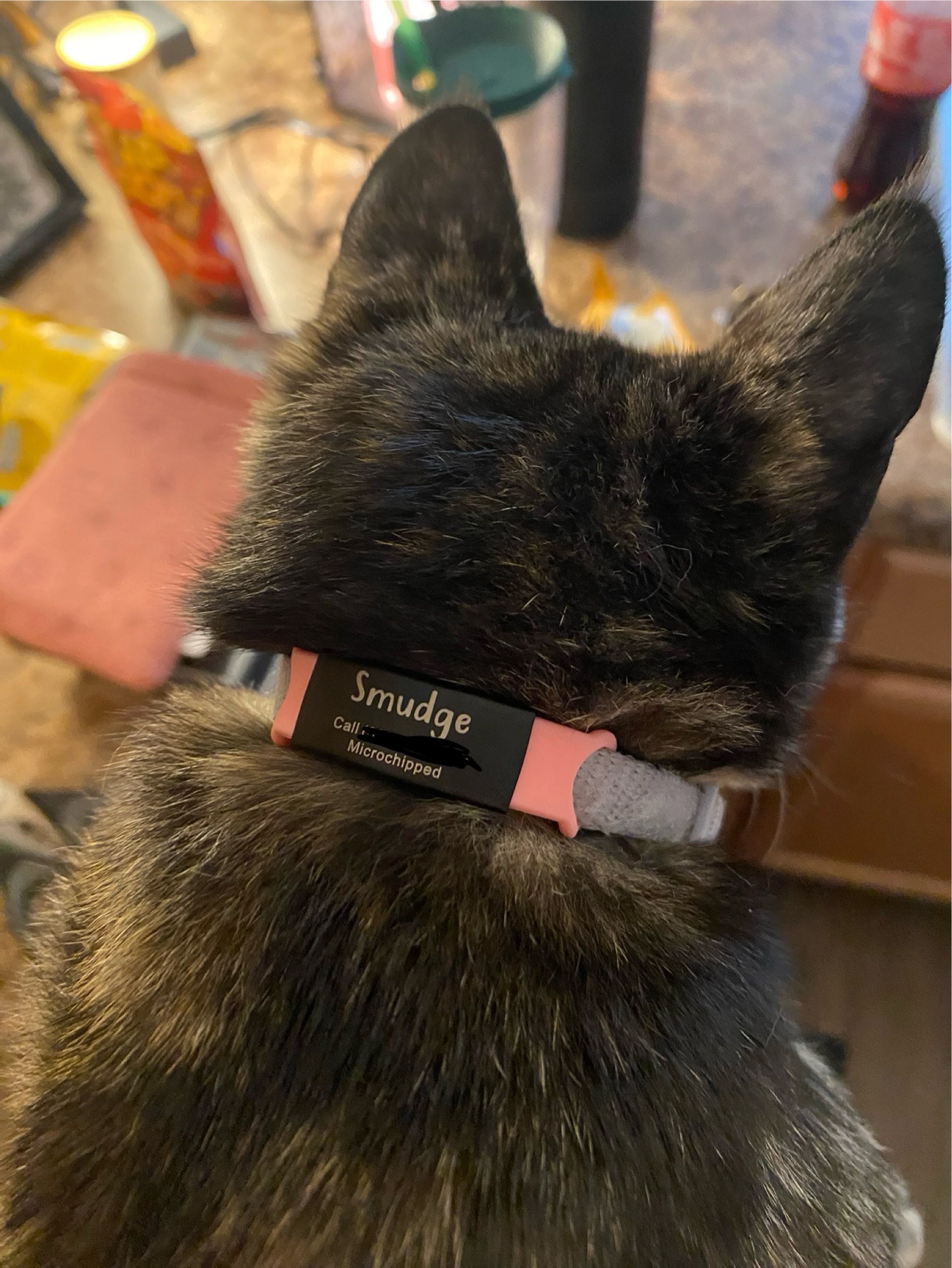 Custom Durable Slide Pet ID Tag🐶🐱,Personalized Name Silicone Dog Tag, Gift for Dog Owner