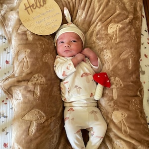 LORAIE added a photo of their purchase