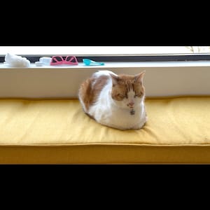 Deane さんが購入した商品の写真を追加しました