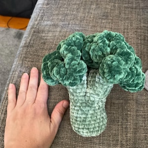 Teresa added a photo of their purchase