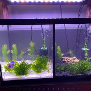 Lifewithpets 10 Gallon Fish Tank Divider Compatible With Aqueon