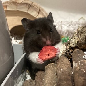 Nancy added a photo of their purchase