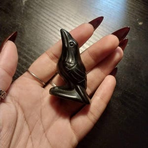 Angie added a photo of their purchase