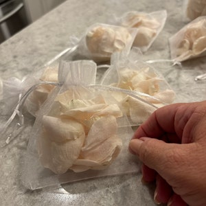 Teresa さんが購入した商品の写真を追加しました