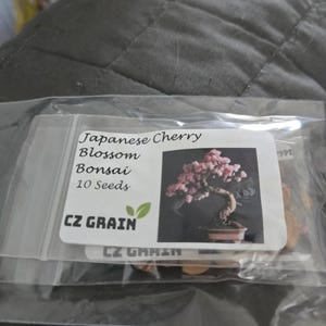 Japanische Kirschblten-Bonsai-Baumsamen  blhende Sakura-Bonsai-Samen -  Etsy.de