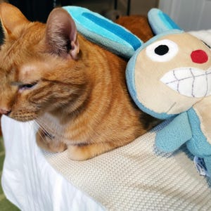 アニメ「ワンピース」のゴンベ・ザ・キャット（別名バニー・ラビット
