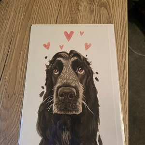Sioned added a photo of their purchase