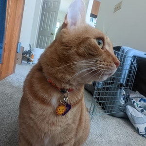 Sierra added a photo of their purchase