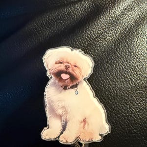 Comprador Etsy adicionaram uma foto da sua compra