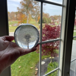 Mandy added a photo of their purchase