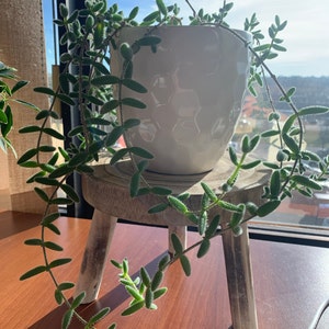 Krista added a photo of their purchase