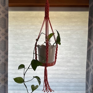 Doris added a photo of their purchase