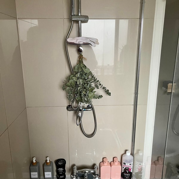Shower Eucalyptus Bundle - Fresh Cut Eucalyptus - Etsy UK