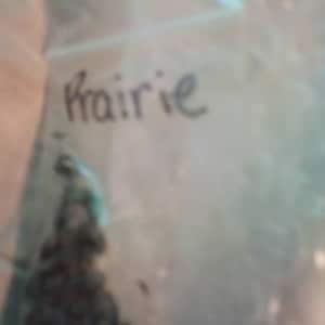 Tammy ha añadido una foto de su compra