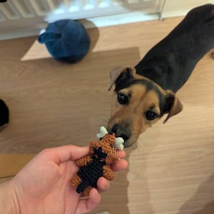 Susan added a photo of their purchase