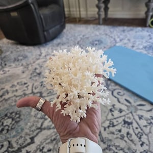 GINGER ha añadido una foto de su compra