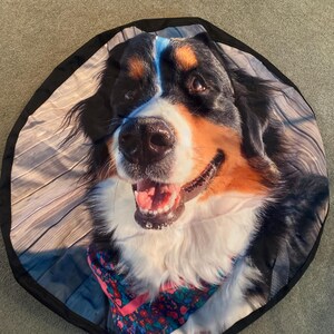 Helen added a photo of their purchase
