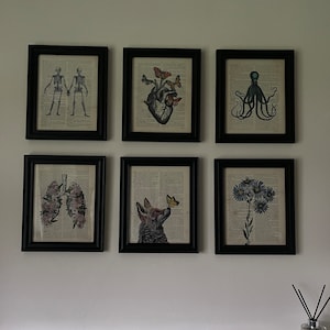 Elleanna added a photo of their purchase
