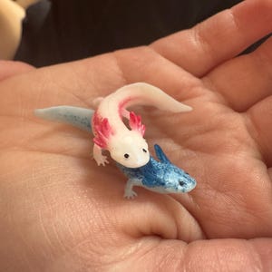 Tiffani added a photo of their purchase