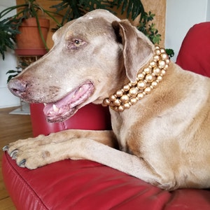 Tennille ha añadido una foto de su compra