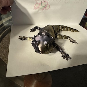 Gordon added a photo of their purchase