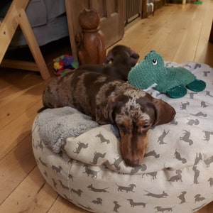 Janet added a photo of their purchase