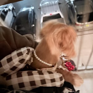 bella added a photo of their purchase