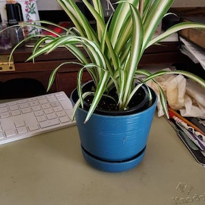 Linda added a photo of their purchase