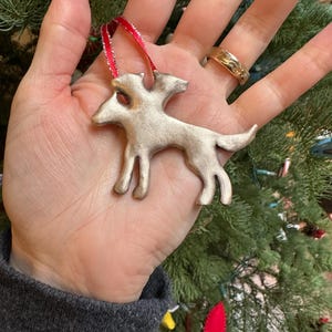 Caitlin a ajouté une photo de son achat