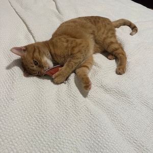 Comprador de Etsy ha añadido una foto de su compra