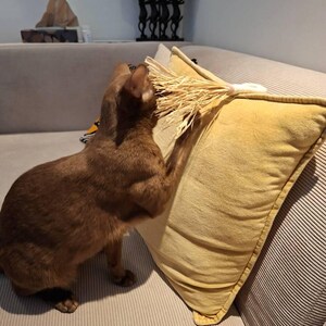 Harald added a photo of their purchase