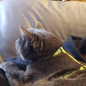 Tara a ajouté une photo de son achat
