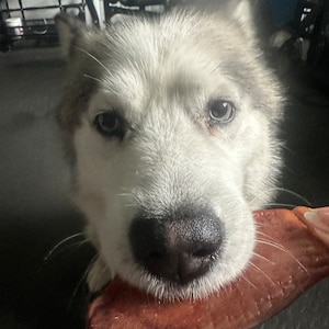 stefany ha añadido una foto de su compra