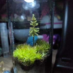 Rebecca added a photo of their purchase